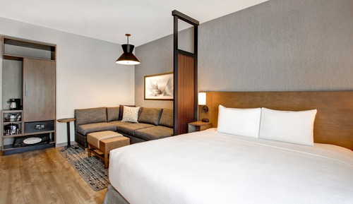 Room, 1 King Bed with Sofa bed, Accessible (Shower)