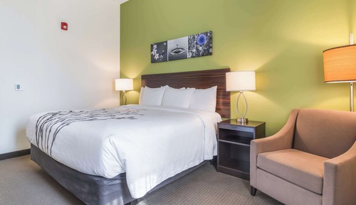 Room, 1 King Bed, Accessible, Non Smoking