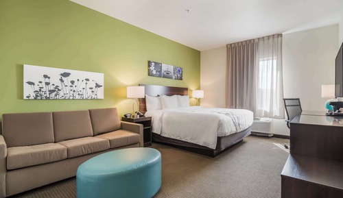 Suite, 1 King Bed, Non Smoking (Efficiency)