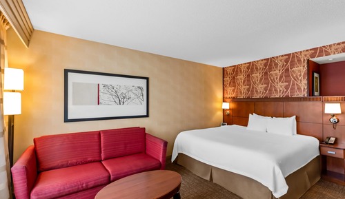 Room, 1 King Bed, Roll-in Shower