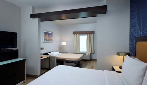Studio, 1 King Bed with Sofa bed