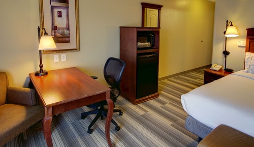 Standard Room, 1 King Bed, Accessible (Mobility, Roll-In Shower)