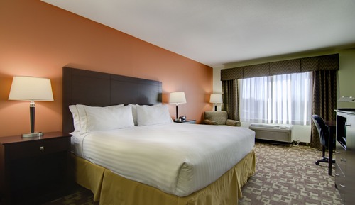 Suite, 1 King Bed