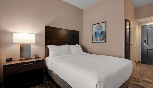 Room, 1 King Bed, Accessible (Roll-In Shower)