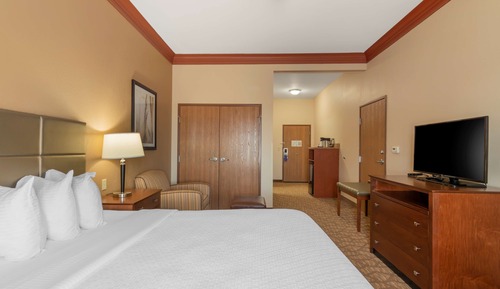 Standard Room, 1 King Bed, Non Smoking, Refrigerator & Microwave (with Sofabed)