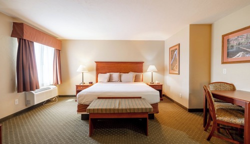 Executive Suite