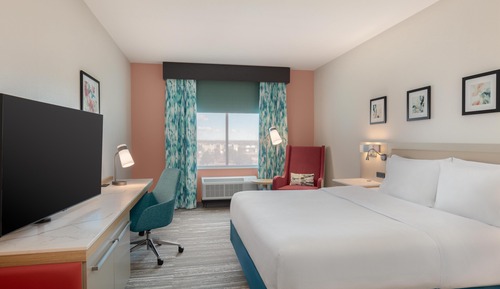 Room, 1 King Bed