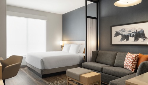 Room, 1 King Bed with Sofa bed