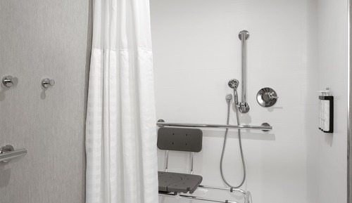 Room, 1 King Bed with Sofa bed, Accessible (Accessible Shower)
