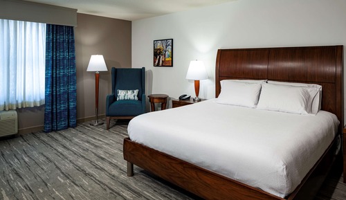 Room, 1 King Bed (Peloton Bike)