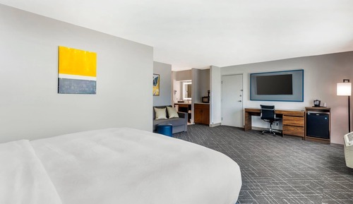 Suite, 1 King Bed with Sofa bed, Non Smoking (Large Room)