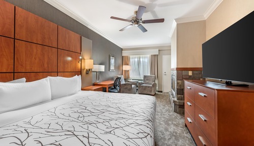 Standard Room, 1 King Bed, Refrigerator & Microwave, Mountain View