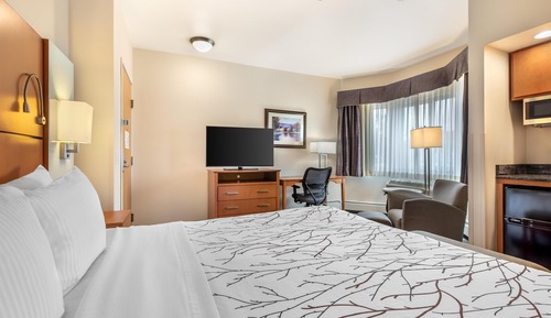 Standard Room, 1 King Bed, Non Smoking, Microwave
