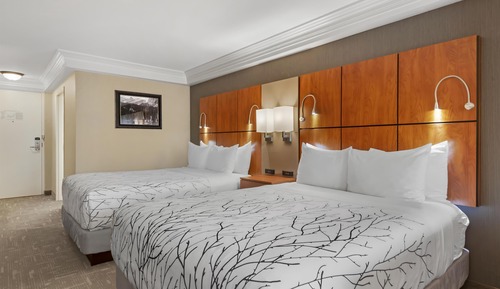 Standard Room, Multiple Beds, Non Smoking, Microwave