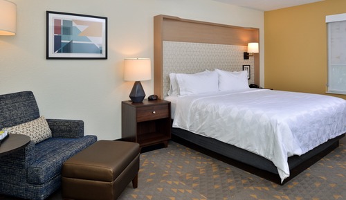 Room, 1 King Bed, Accessible (Accessible Tub)