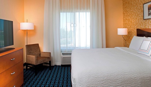 Room, 1 King Bed with Sofa bed