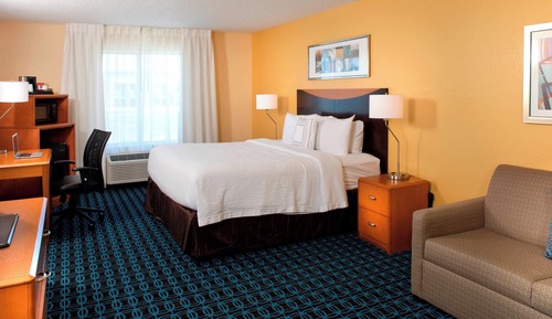 Suite, 1 King Bed with Sofa bed