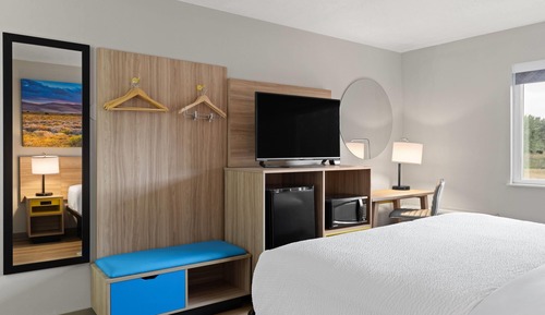 Room, 1 King Bed, Non Smoking (Pet Friendly)