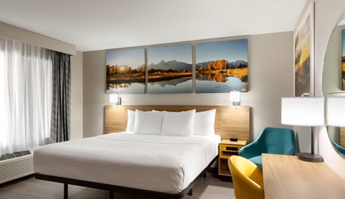 Deluxe Room, 1 King Bed, Non Smoking