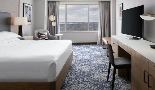 Room, 1 King Bed