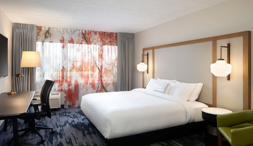 Room, 1 King Bed