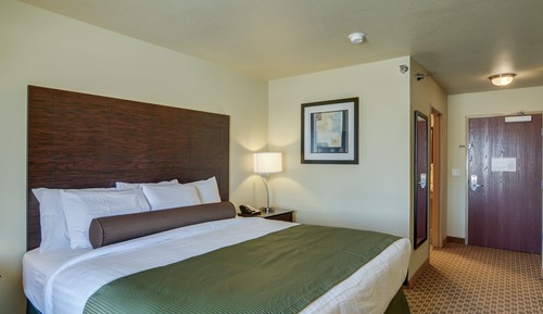Room, 1 King Bed, Non Smoking