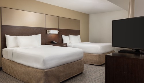 Studio Suite, Multiple Beds