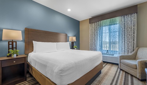 Suite, 1 King Bed, Non Smoking, Refrigerator & Microwave