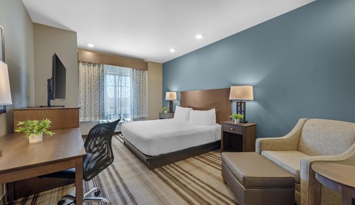 Standard Room, 1 King Bed, Accessible, Bathtub