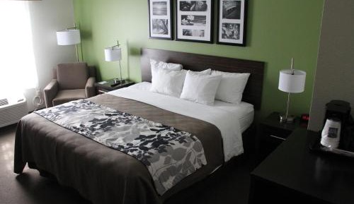 King Room - Non-Smoking