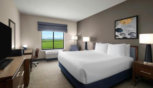 Standard King Room