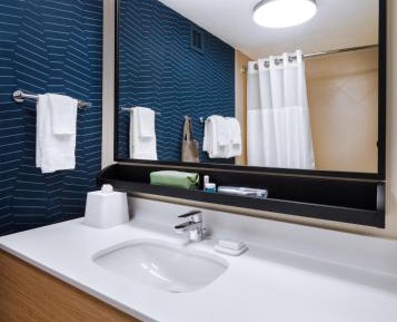 King Room with Roll-In Shower - Mobility Access