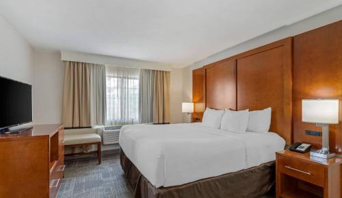 King Suite with Sofa Bed - Non-Smoking  (No Pets Allowed)