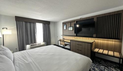 King Suite - Mobility Accessible with Bathtub and Sofa Bed
