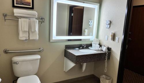 King Room - Accessible/Non-Smoking