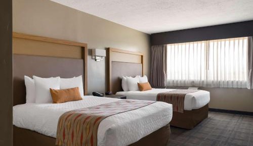 Queen Room with Two Queen Beds and Kitchenette - Non-Smoking