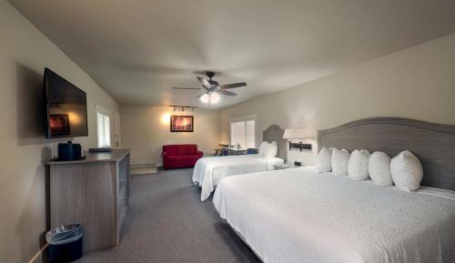 SUPERIOR FAMILY ROOM