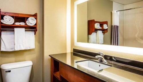 Deluxe King Suite with Sofa Bed - Non-Smoking