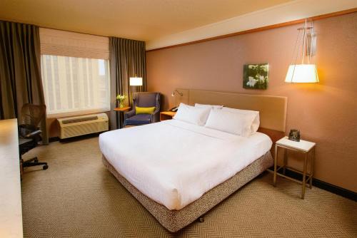 Hilton Garden Inn Rochester Downtown 